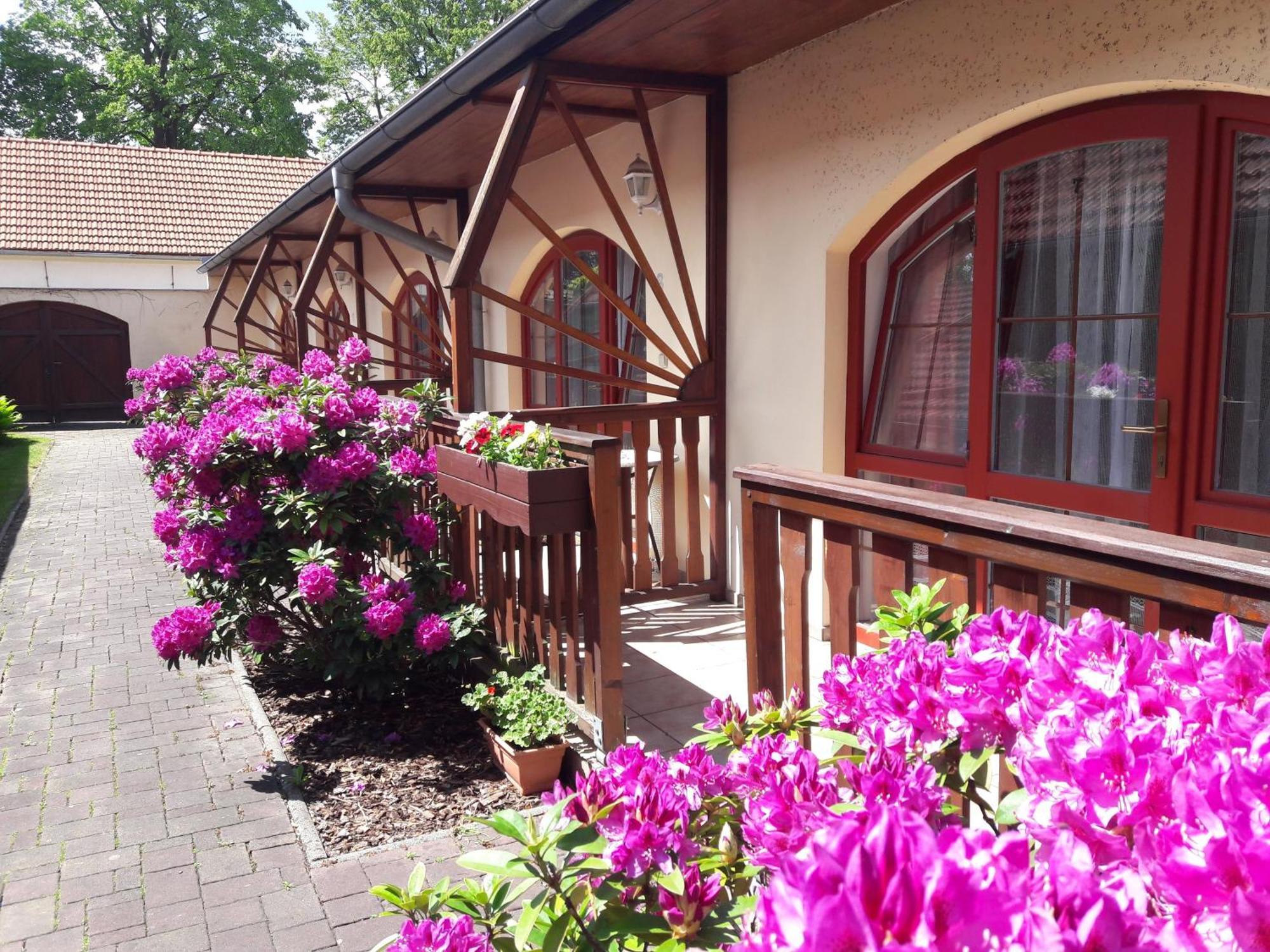 Hotel Fogl Nová Bystřice エクステリア 写真