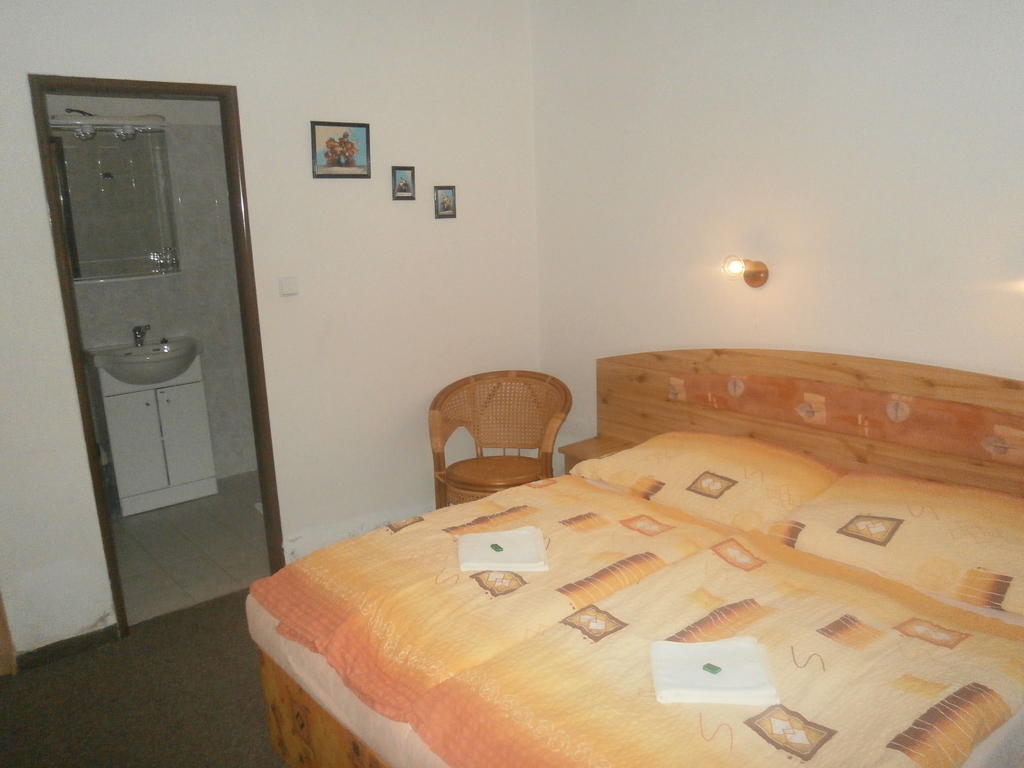 Hotel Fogl Nová Bystřice 部屋 写真